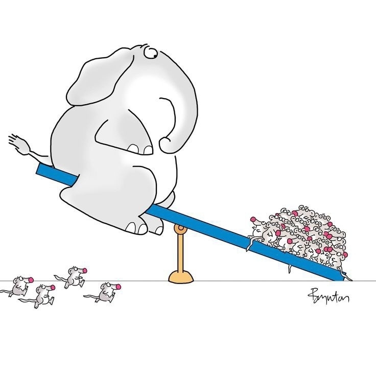 Береги своего СЛОНА!💗