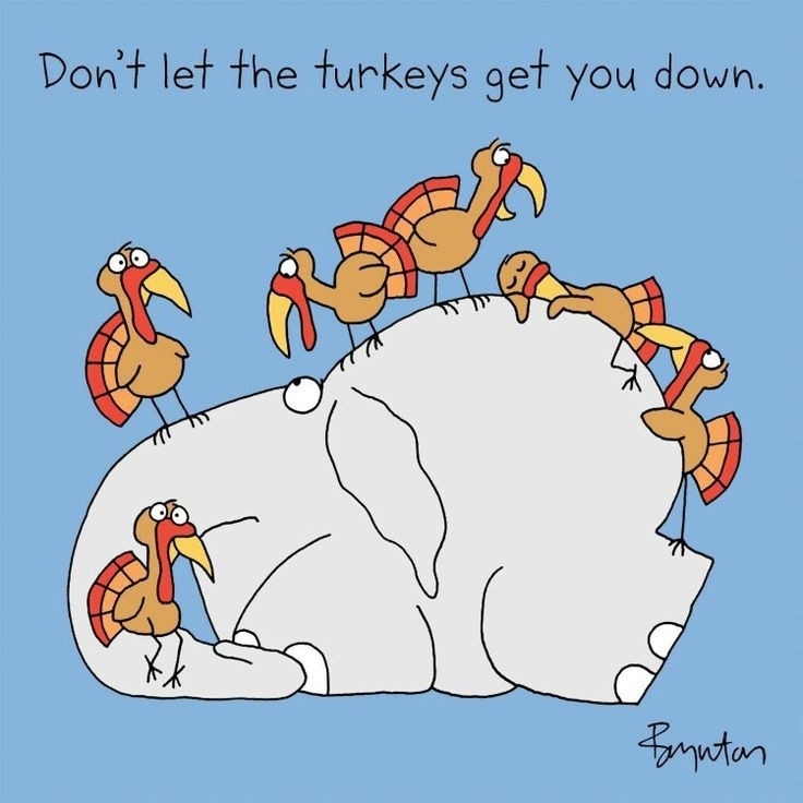 Береги своего СЛОНА!💗