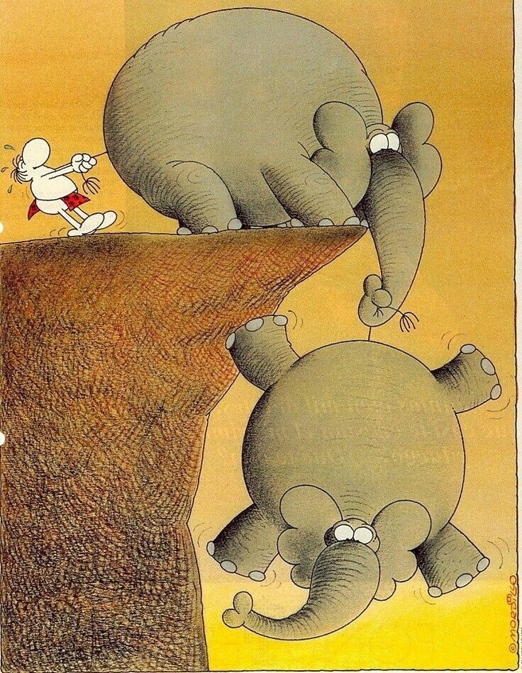 Береги своего СЛОНА!💗