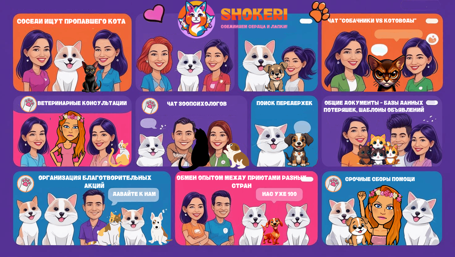 💬 Чаты и группы: создаем глобальное сообщество помощи животным