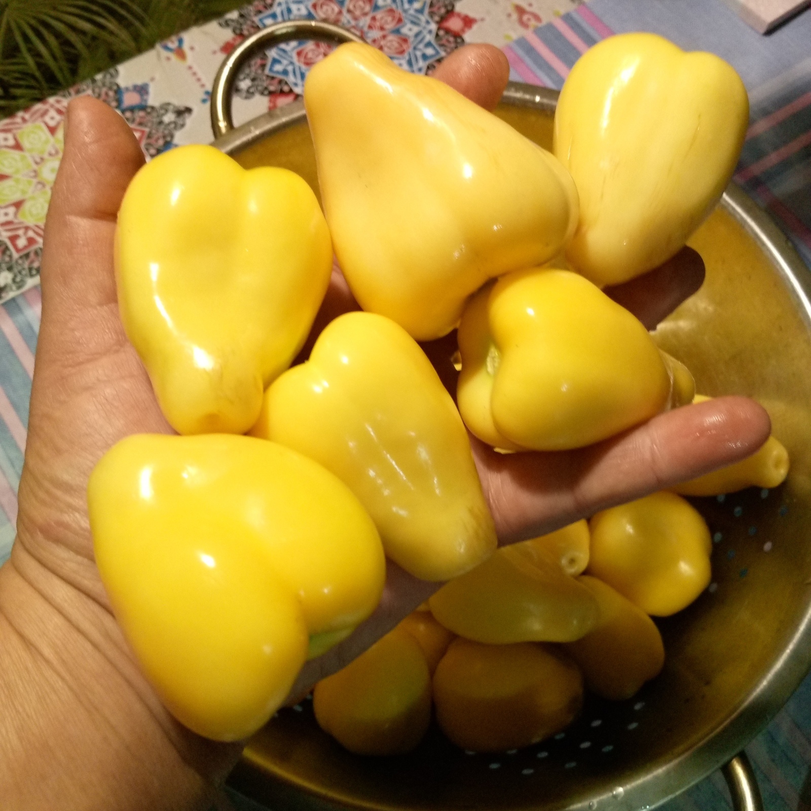 Когда же начнётся стройка ?