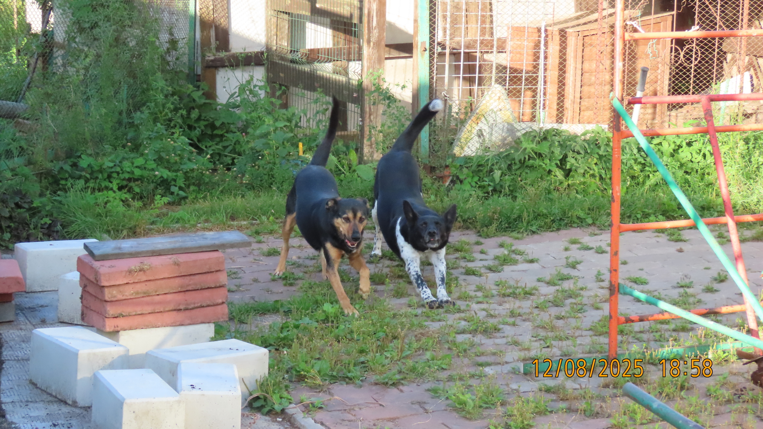 Утренние новости 12 августа 2025 года как повод удивиться.