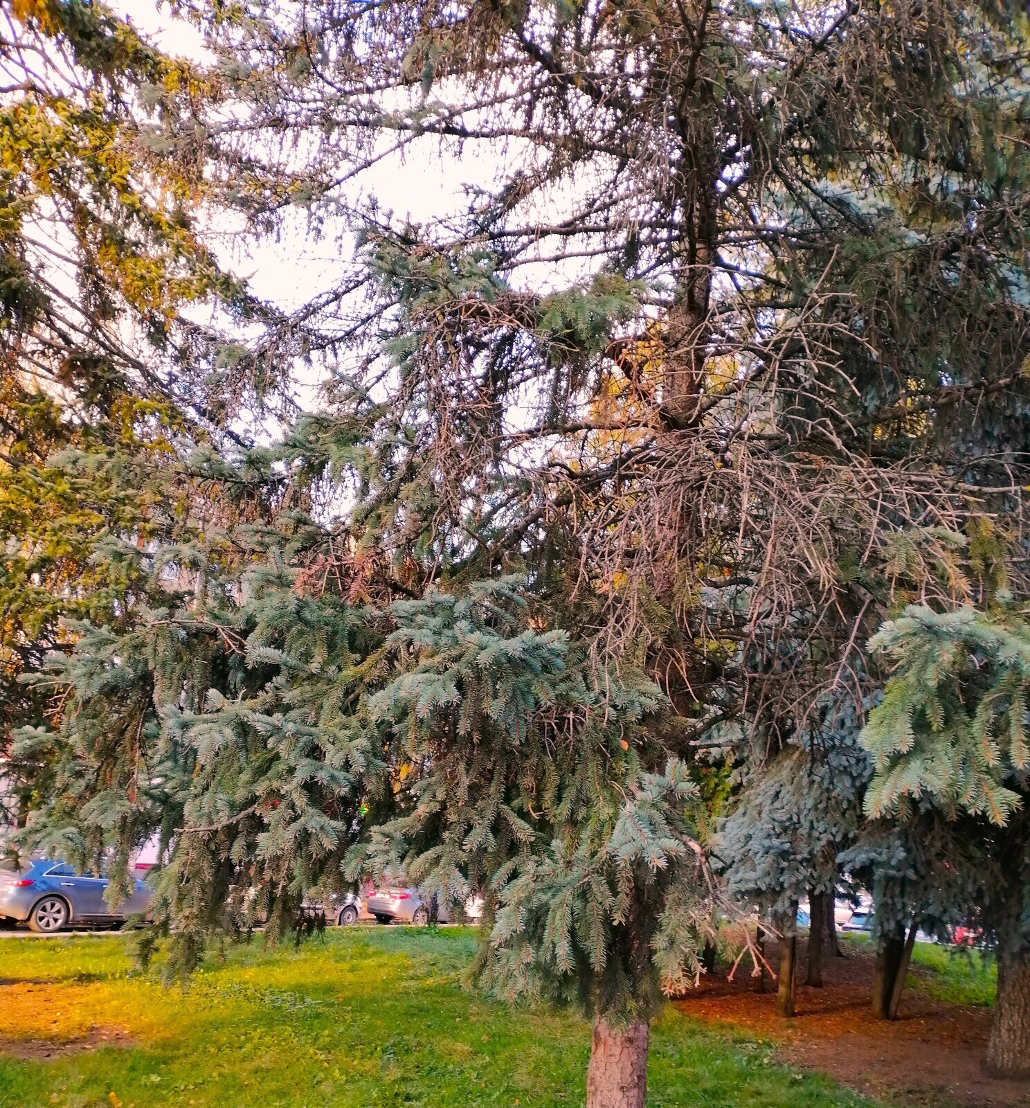 Забота о населении или униженные и оскорблённые?