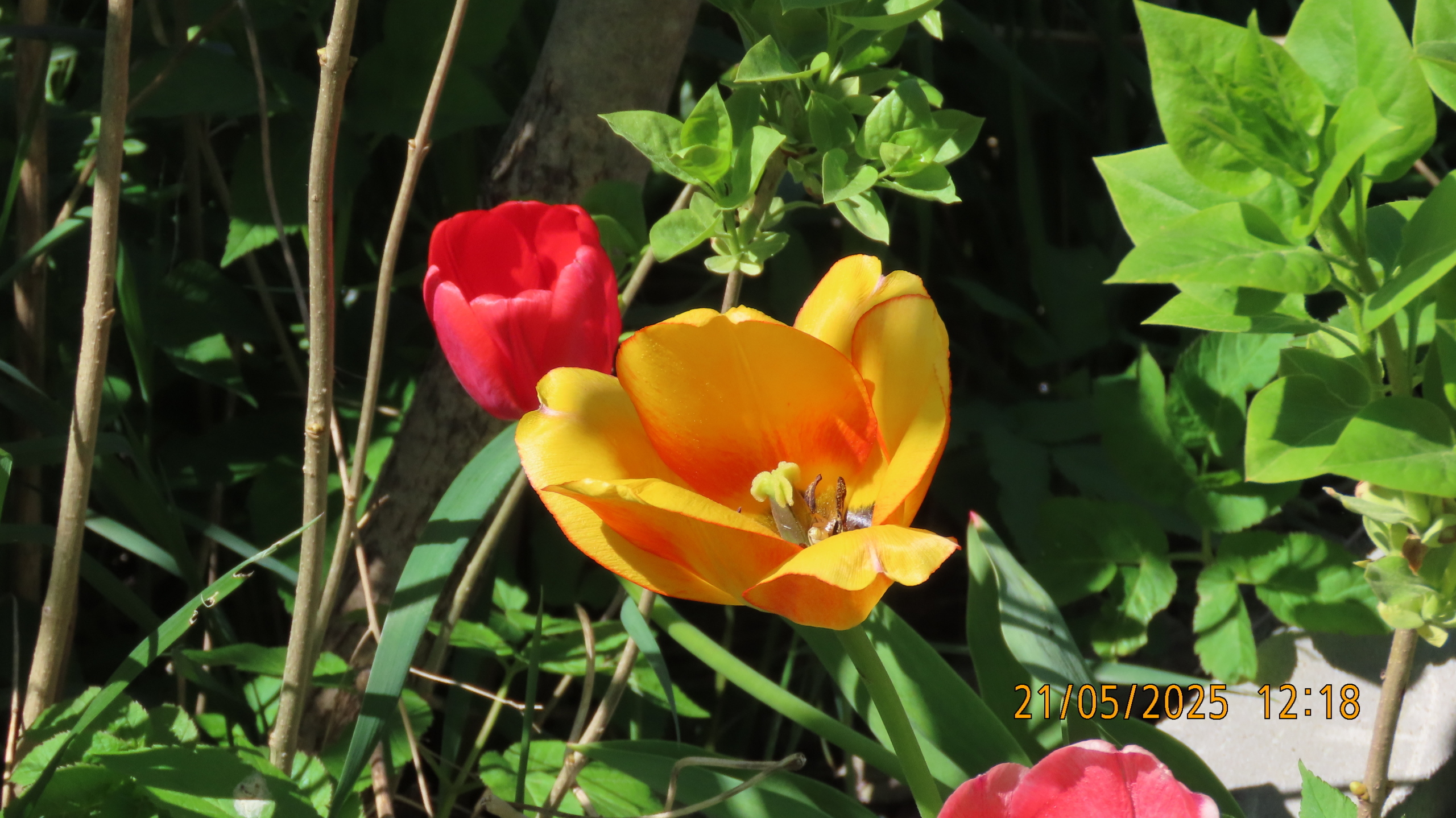 Невидимые нити истории и культуры/ Межстоличье -Санкт-Петербург-Котлы /Часть 1.