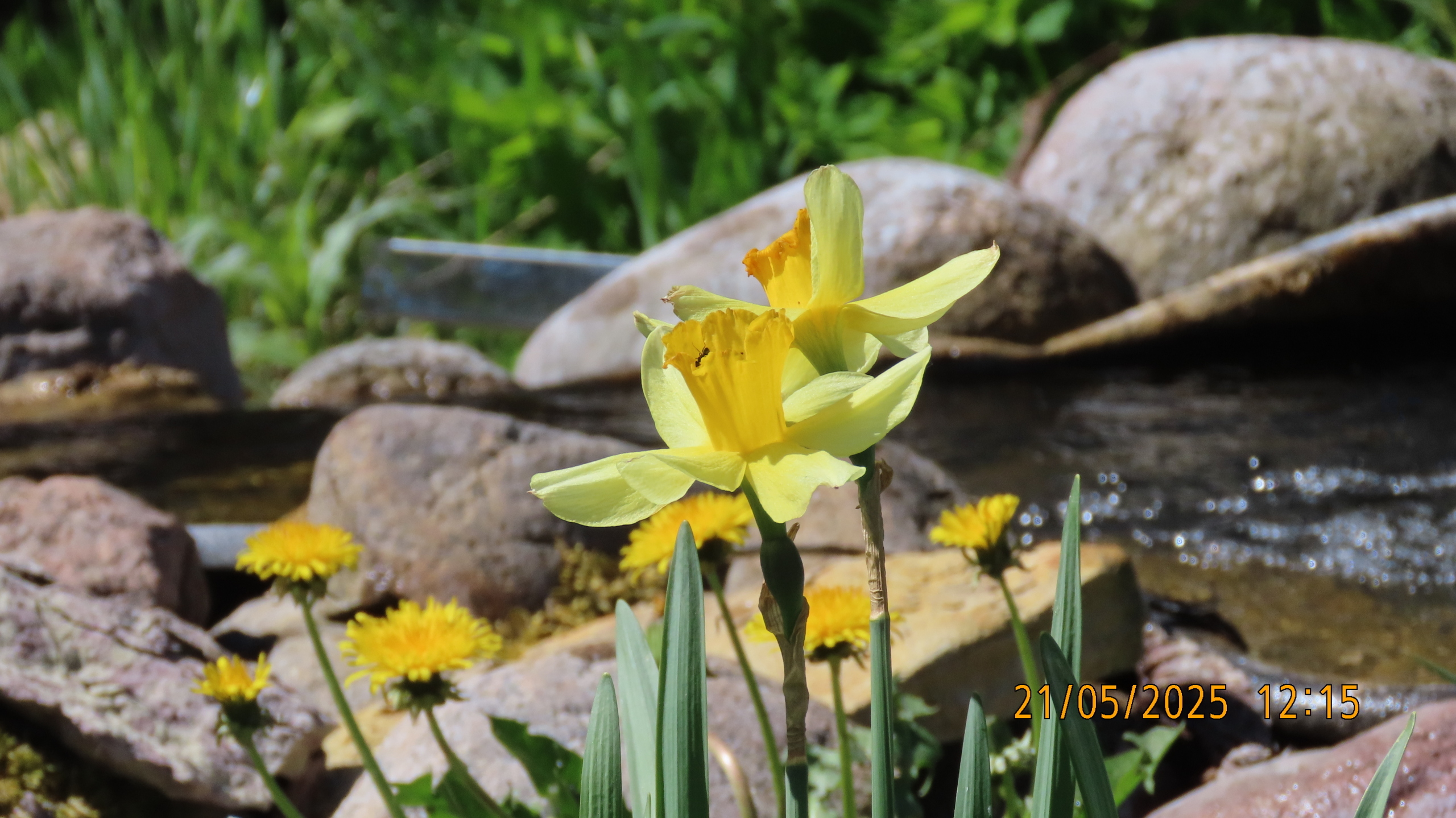 Невидимые нити истории и культуры/ Межстоличье -Санкт-Петербург-Котлы /Часть 1.