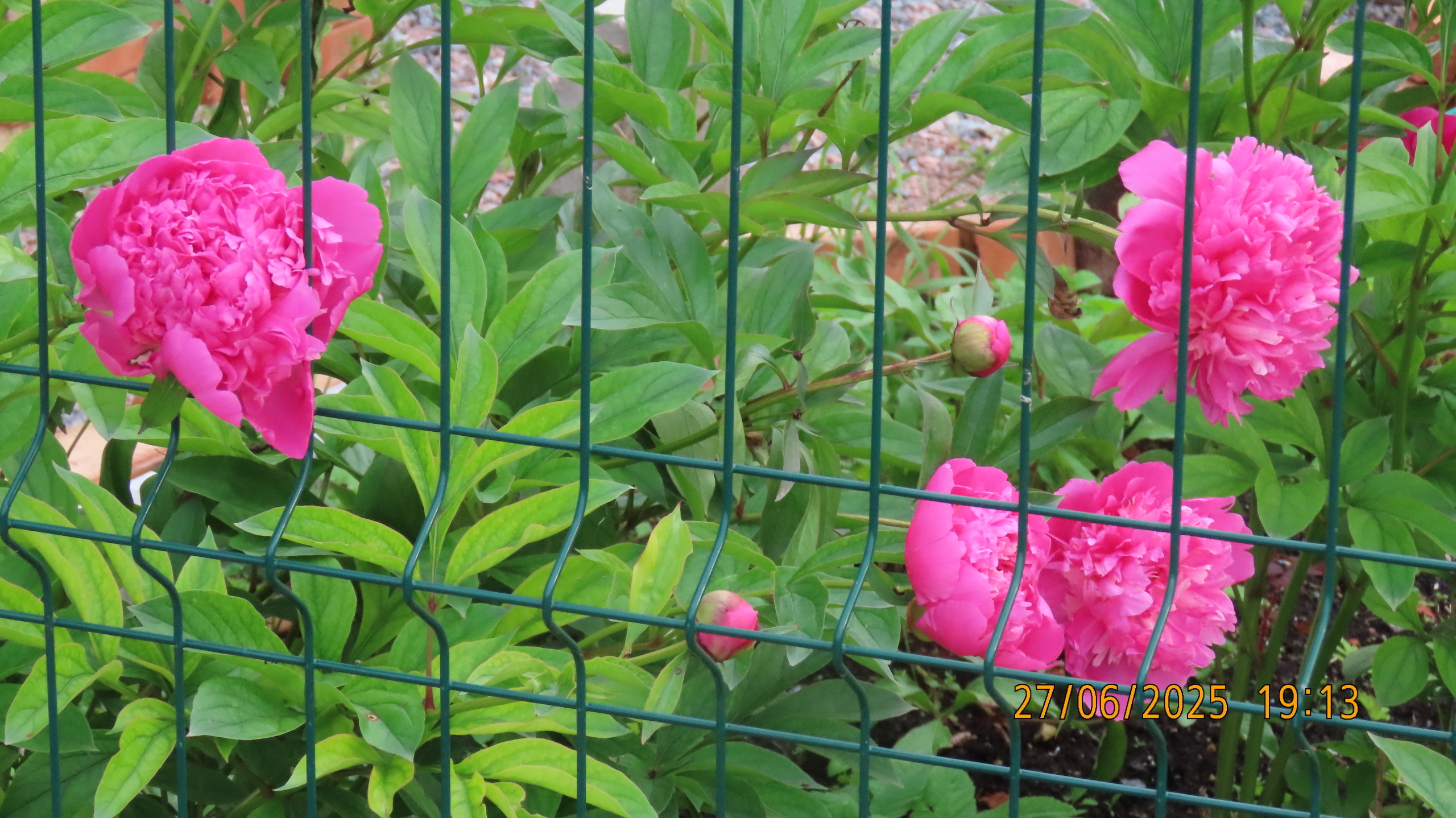 Невидимые нити истории и культуры/ Межстоличье -Санкт-Петербург-Котлы /Часть 1.