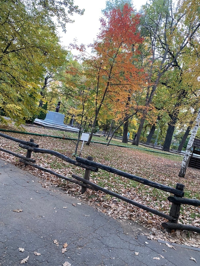 Дань памяти
