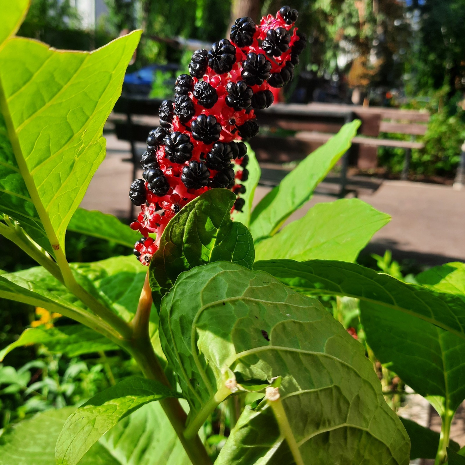 Нет ни образования, ни опыта - устройте на работу.