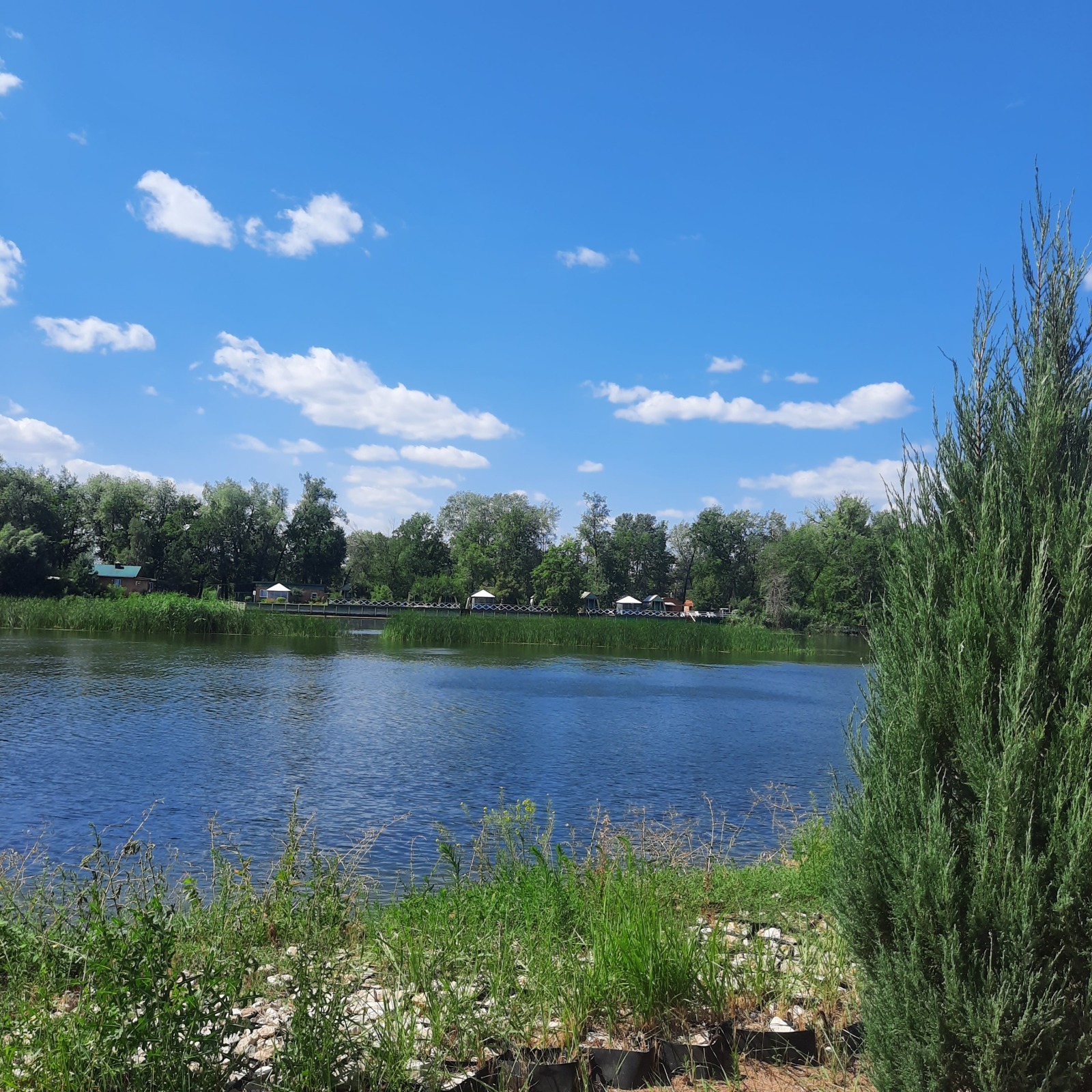 Нет ни образования, ни опыта - устройте на работу.