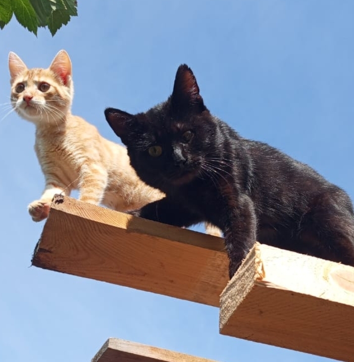 Новые изменения на летней кухне.