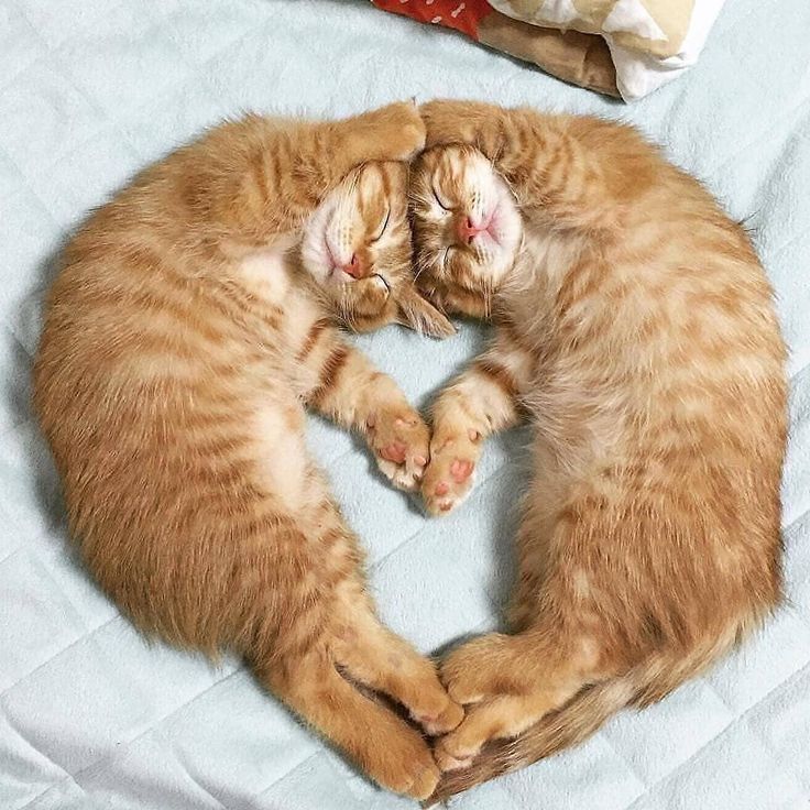 Давай улыбнёмся: шутки, анекдоты, смешные истории из жизни