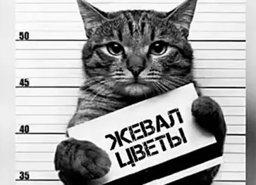 Если ты рецидивист на рабочем месте, то нарушай с умом