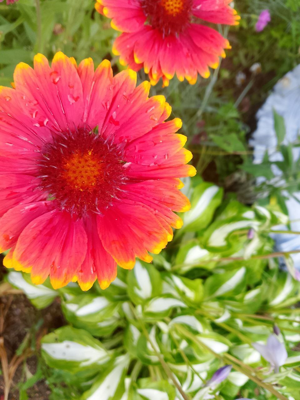 Тихая тревожность, когда паника прячется за улыбкой