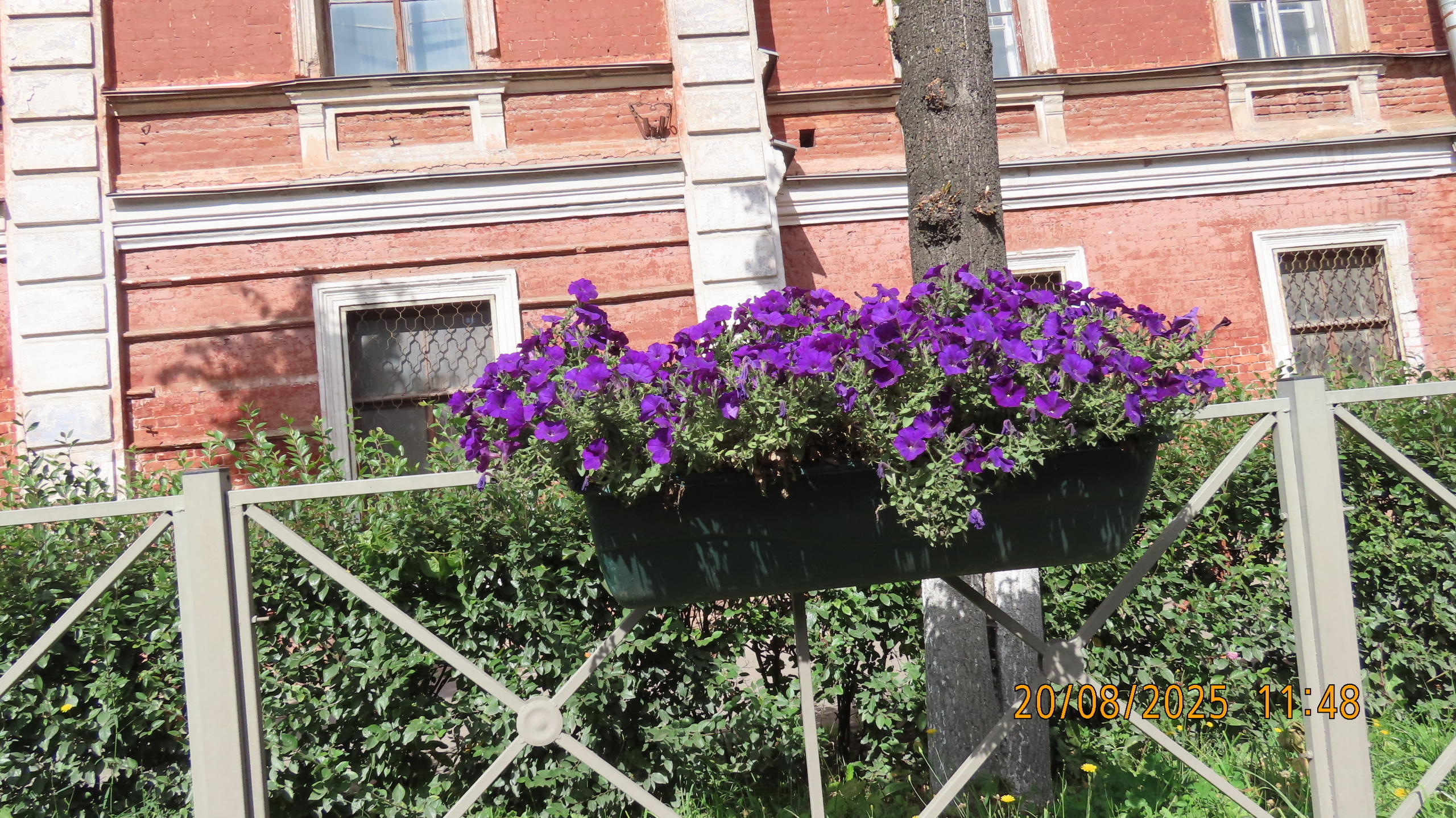 Каждый чтит своих героев.