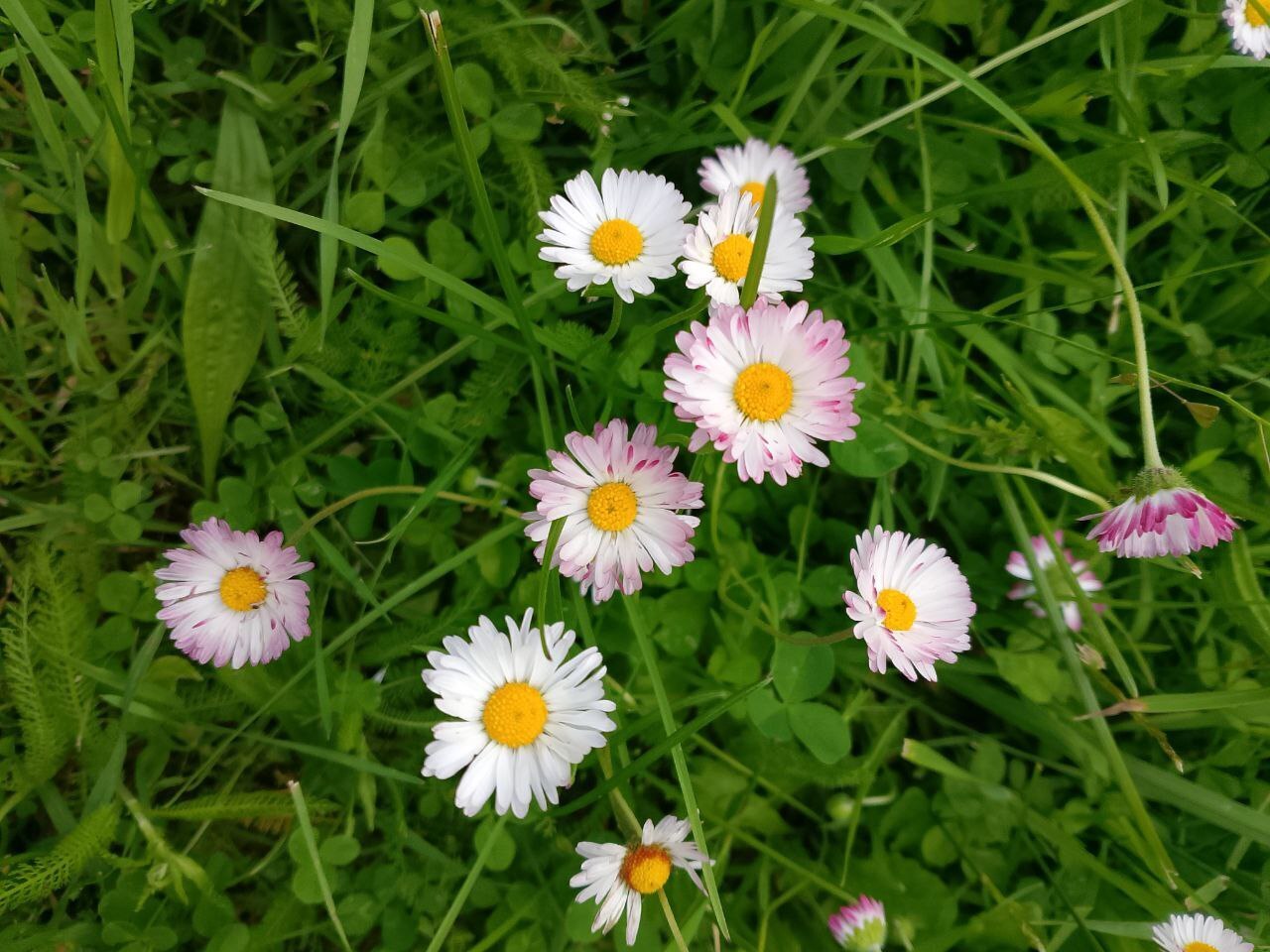 Ты не станешь плохим человеком если