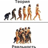 обезъяны среди нас.jpg