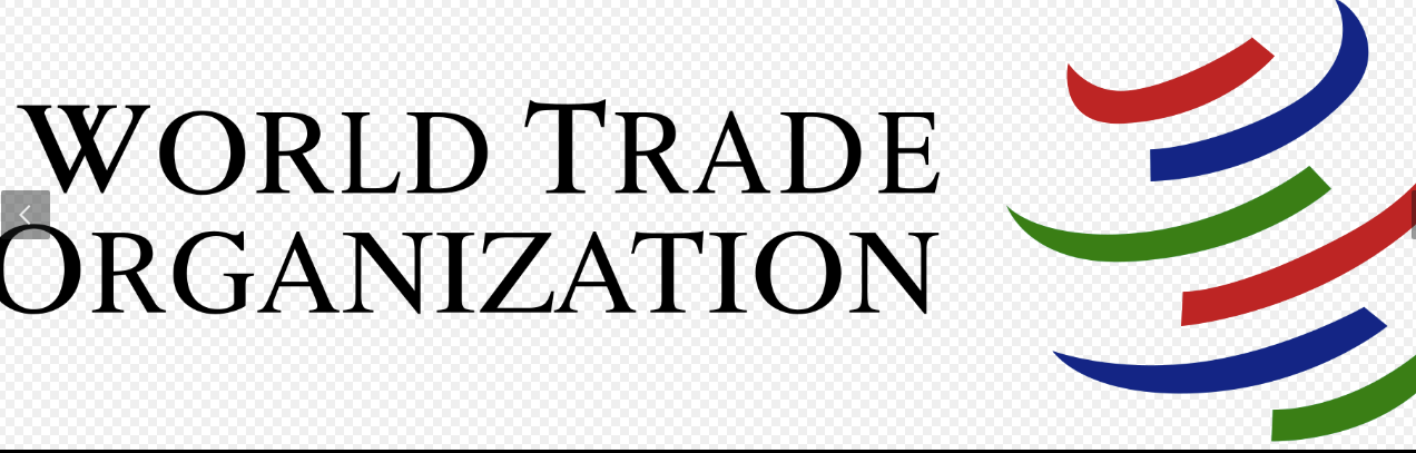 Правительство России не поддержало законопроект о выходе страны из ВТО