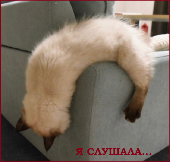 Котопозитивчик «Провожаем лето»