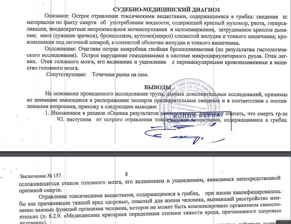 Грибные ретриты: глобальная ловушка под видом «духовности»