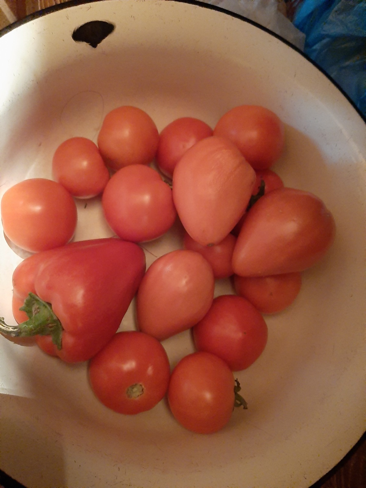 Как я провела лето: урожай 2025. Что удалось вырастить