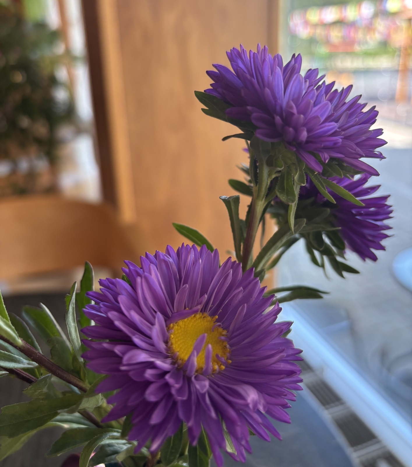 История о том, как ограничения в регионе сорвали мою тренировку