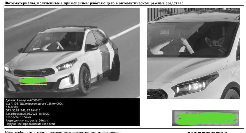 Что здесь вообще происходит?! Корги-гонщик в Москве. Мои мысли