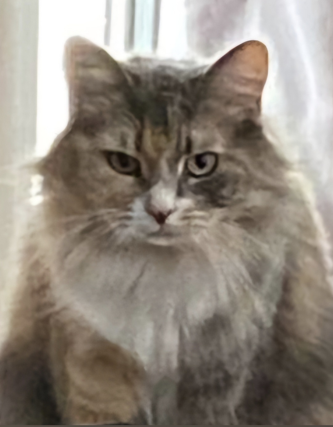 Изучение мнения читателей: быть ли календарю?