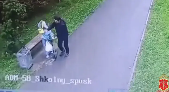 Под Питером 39-летний мигрант попытался затащить девочку в кусты, не смущаясь прохожих.