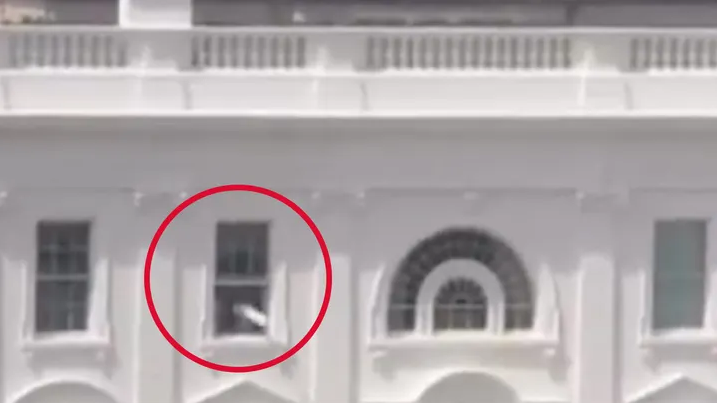 Трамп прокомментировал странное вирусное видео с загадочными предметами, выброшенными из окна Белого дома.