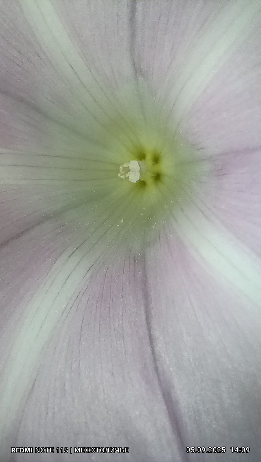 Реклама «Вьюн Торг Банка» из Межстоличья.