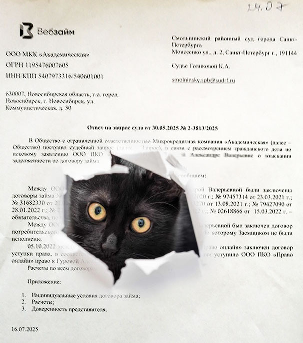 Этой тройке точно не место в апелляционном суде СПб