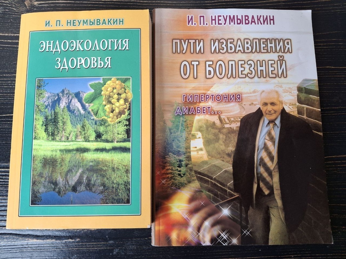 Продажи на Авито за Август 2025 г: неплохой выдался месяц