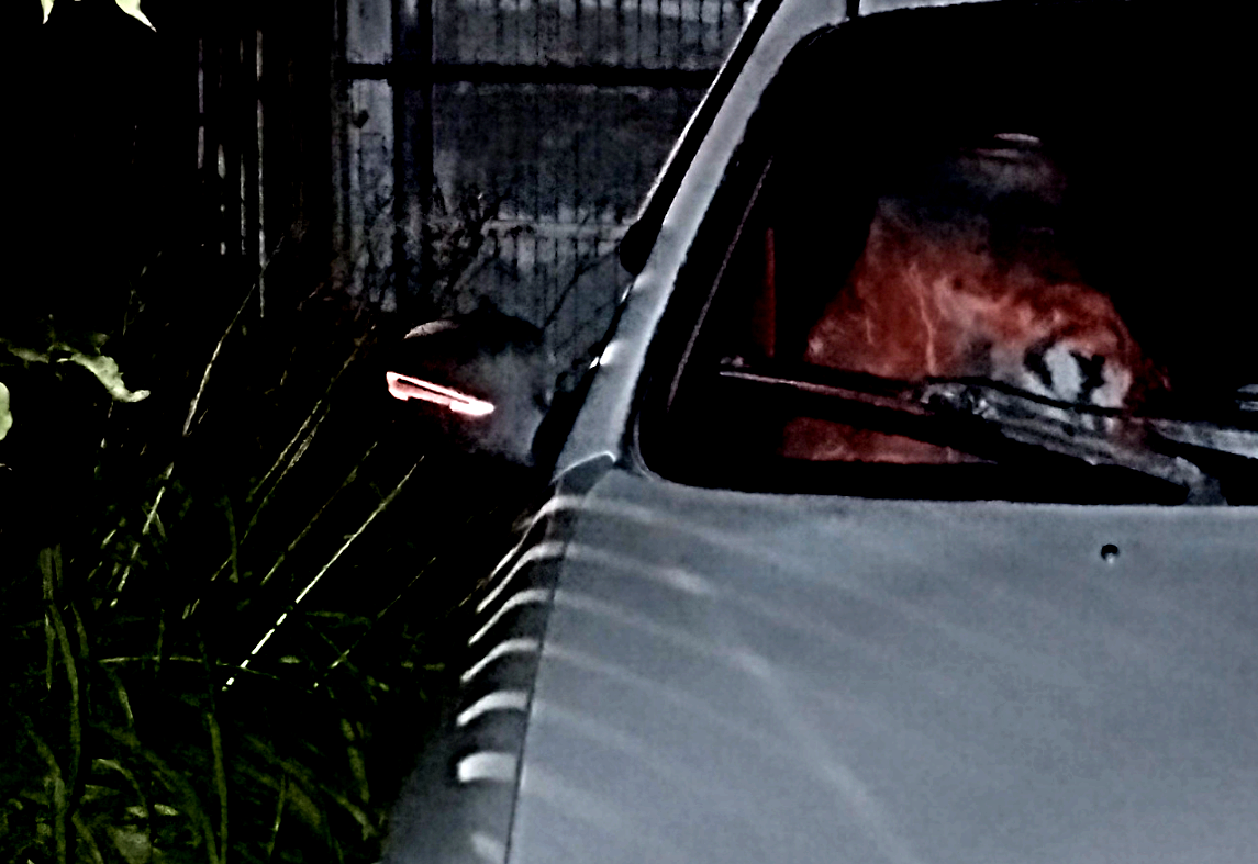 Приобретение железной любимке для темного времени суток