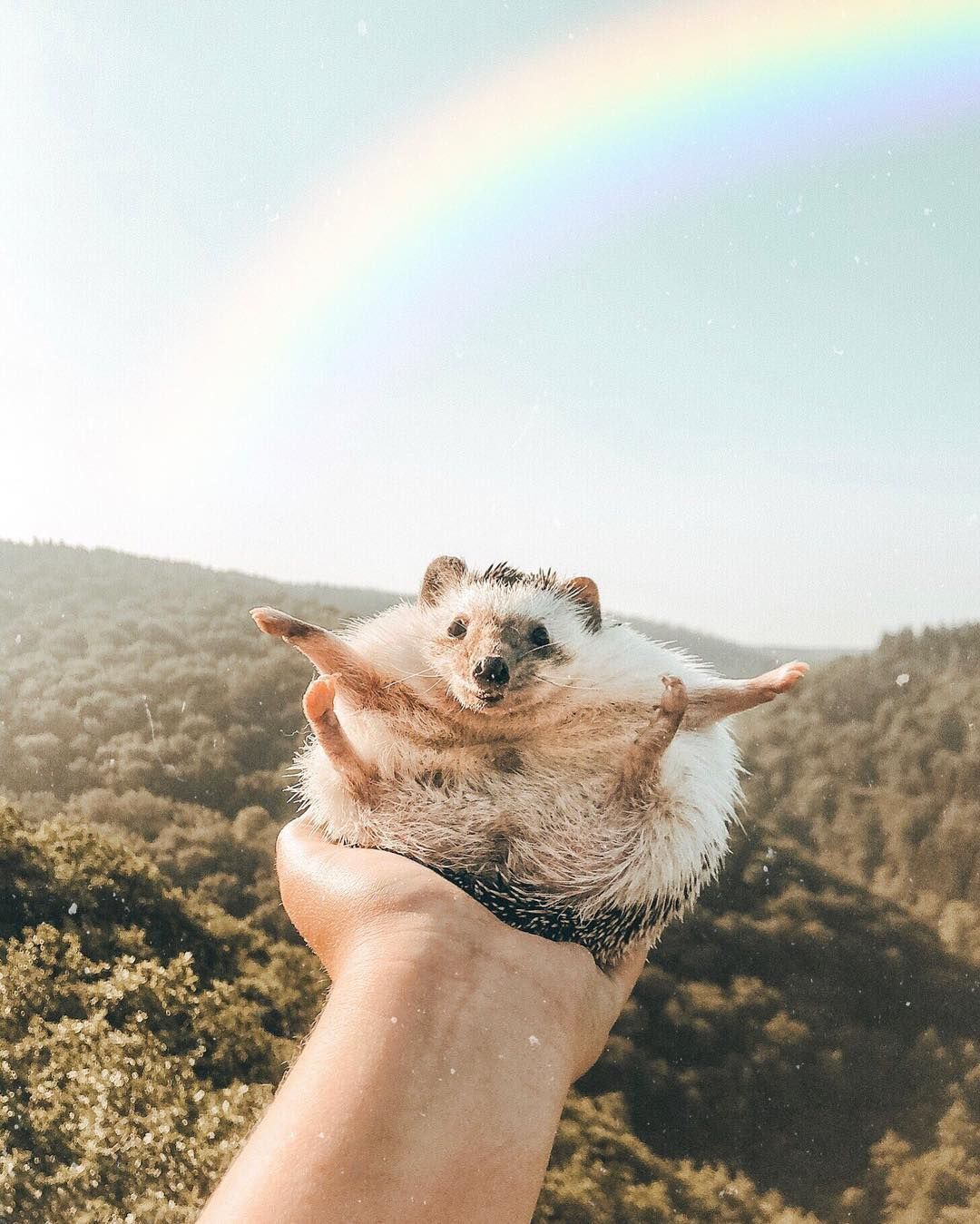 Смех продлевает жизнь: самые смешные истории для поднятия настроения!