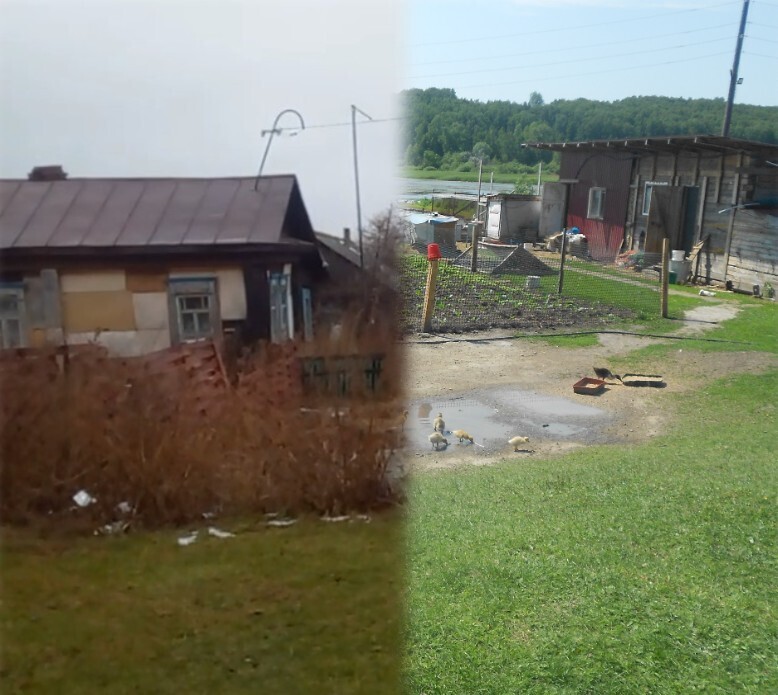 Это изменит вашу жизнь: льготы и монстры повседневной жизни. Добрые дела. Лето 2025