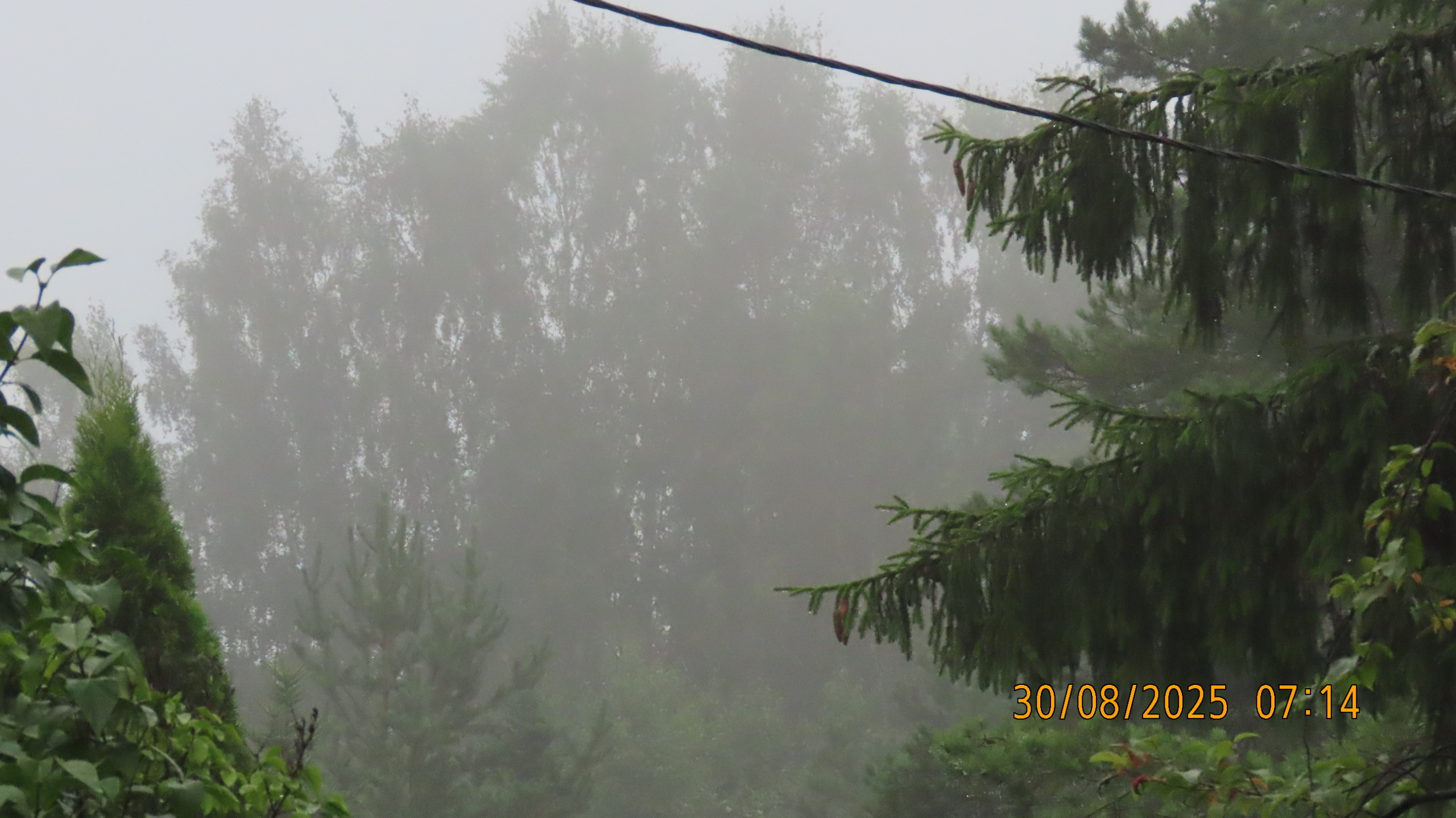 Как Лето - 2025 в очередной раз провело нас.