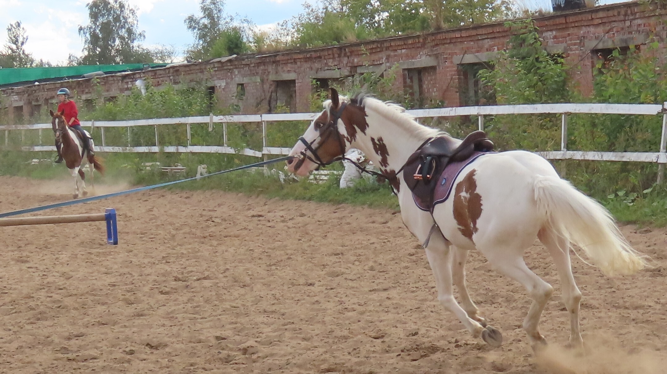 Как Лето - 2025 в очередной раз провело нас.
