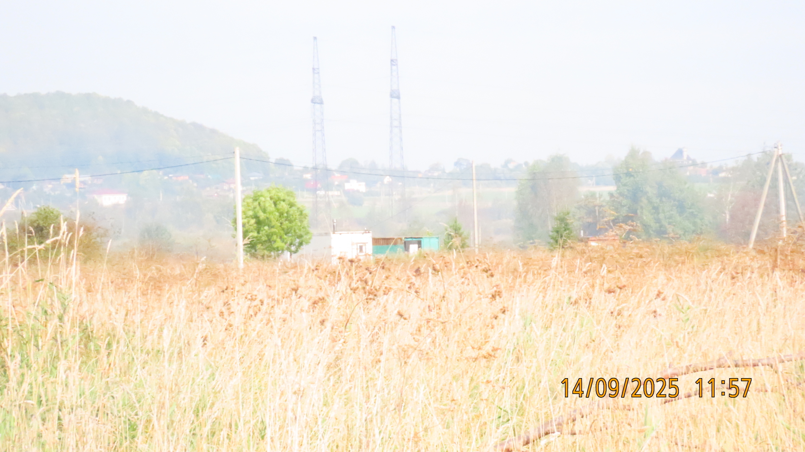 Возрождение / Тайцы, деревня Александровка / Храм Святого благоверного князя Александра Невского.
