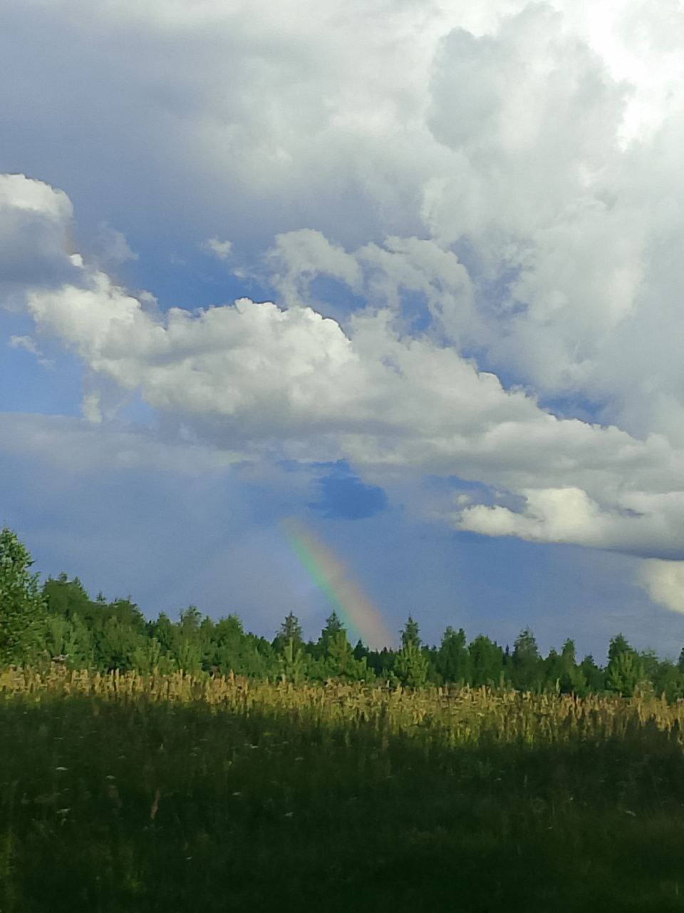 Ревность к прошлому