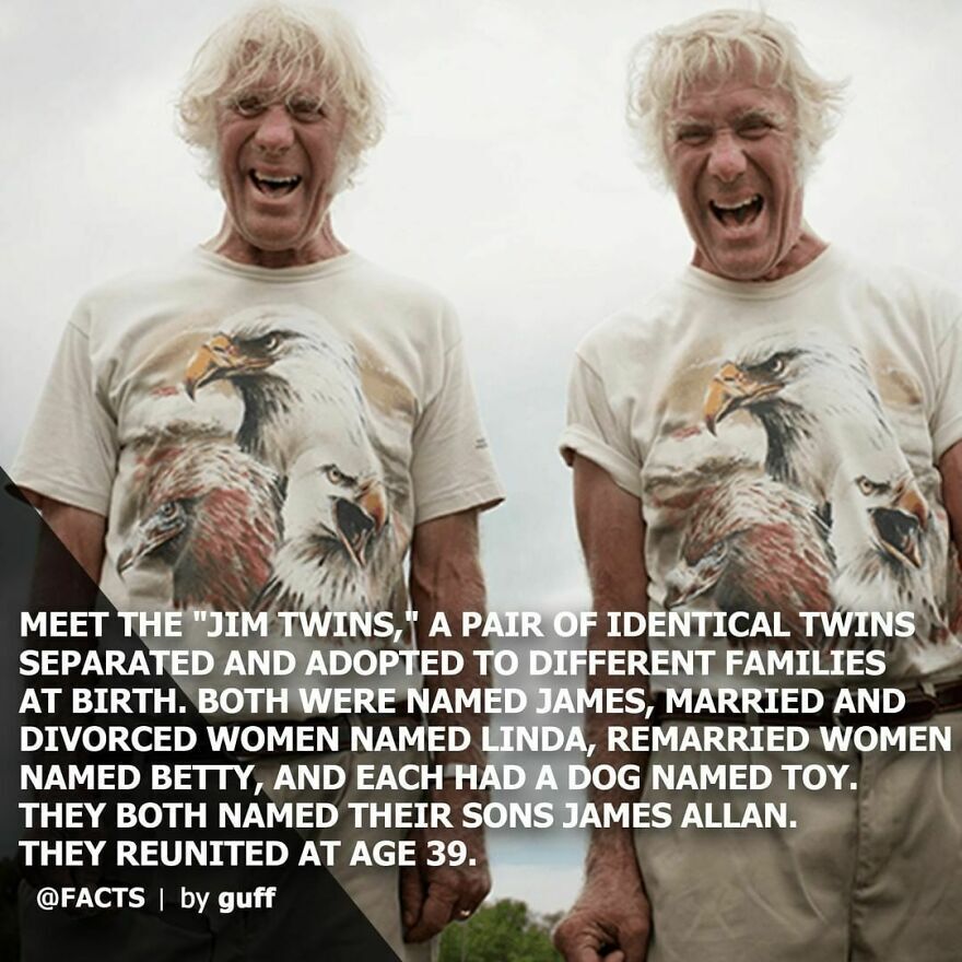 Джим Льюис и Джим Спрингер - одна жизнь на двоих⁠⁠