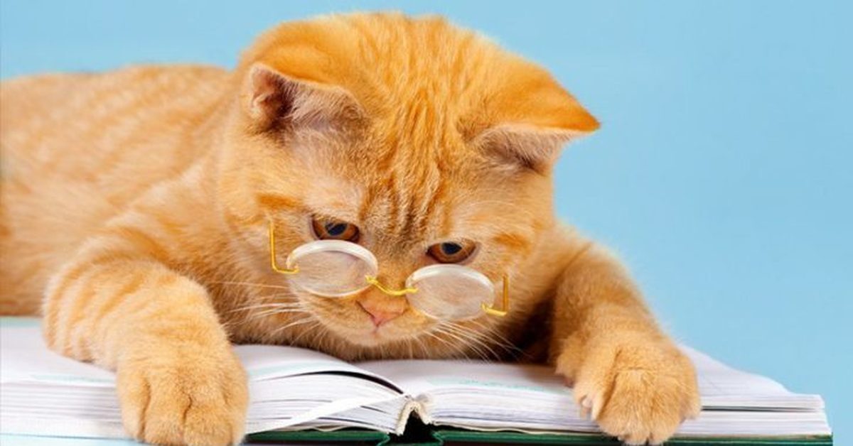 Подборка смешных историй, шуток и анекдотов