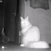 Наталья, г. Нижневартовск