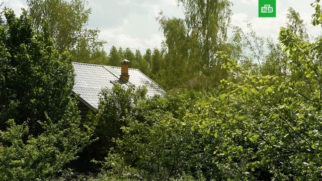 Критерии заброшенных участков: какую землю могут отнять у собственника