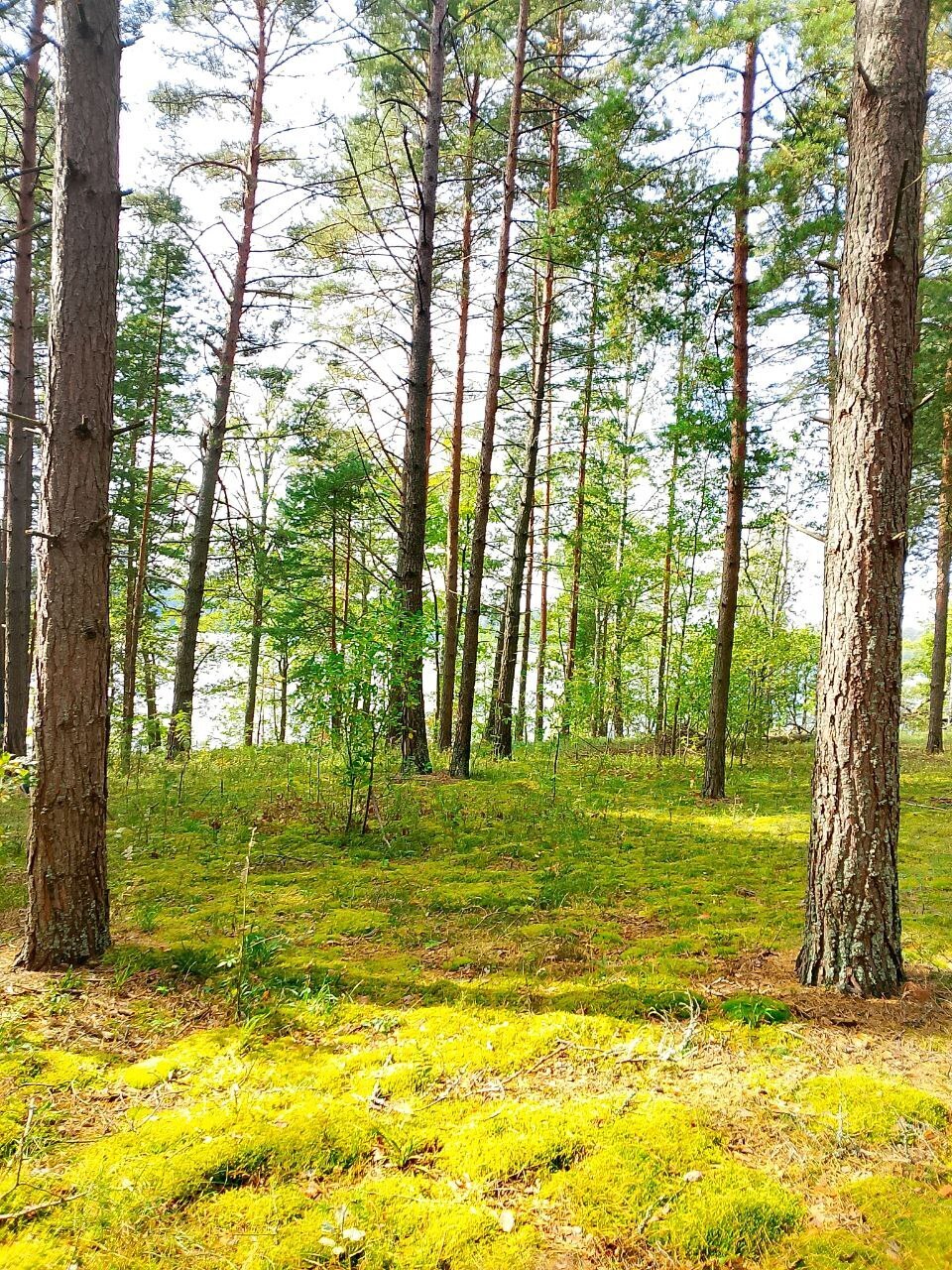 Идеальных вариантов нет! Как принять решение?