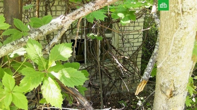 Критерии заброшенных участков: какую землю могут отнять у собственника