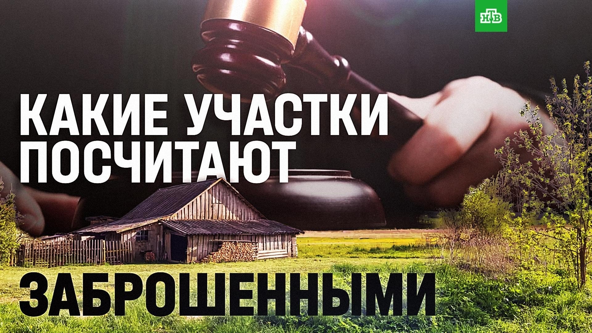 Критерии заброшенных участков: какую землю могут отнять у собственника