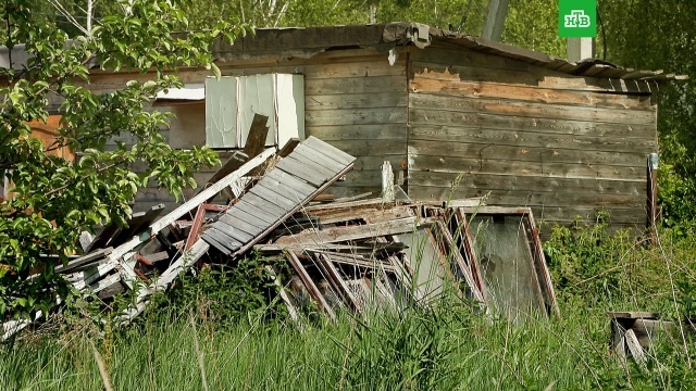 Критерии заброшенных участков: какую землю могут отнять у собственника