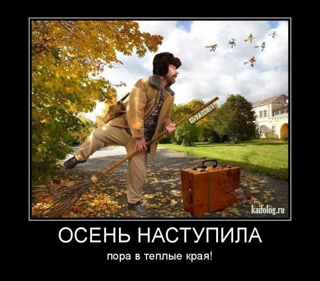 Весёлые картинки про осень