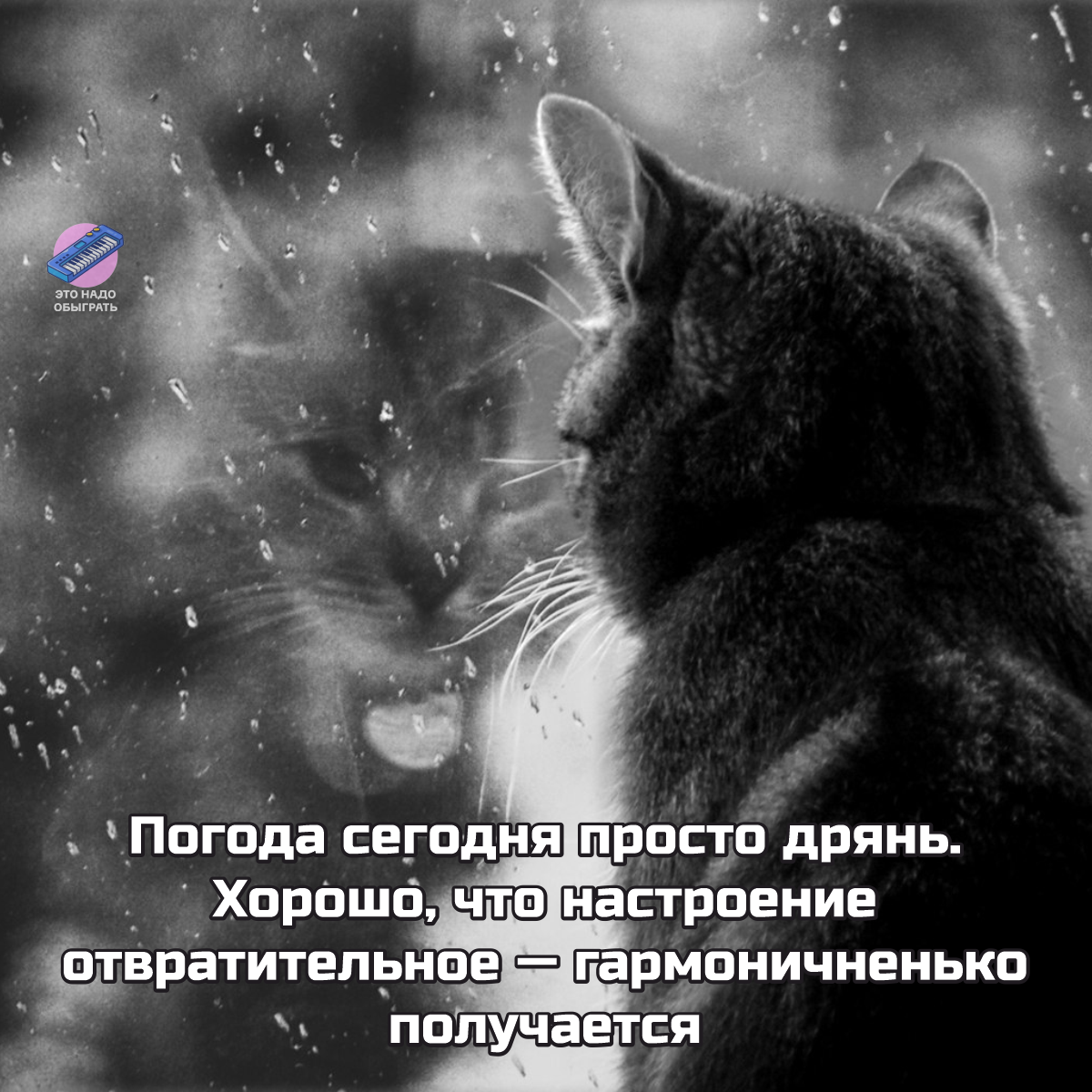 Весёлые картинки про осень