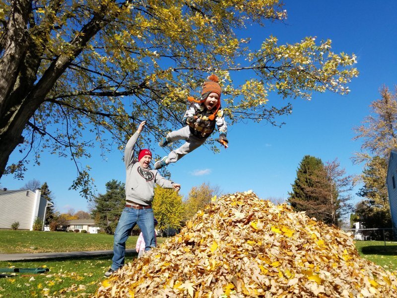 Весёлые картинки про осень